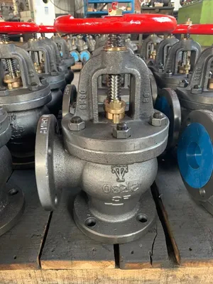 Grosir Grosir Angle Check Valve Jis F7354 Cast Iron Marine Valve 5K Kualitas Tinggi
