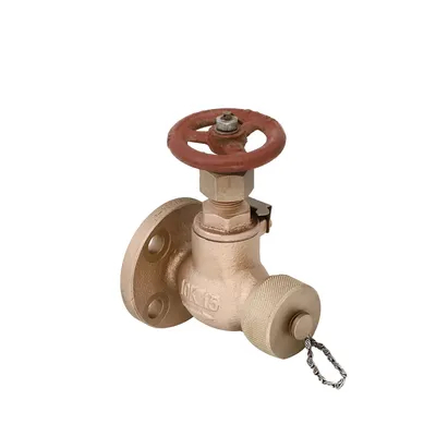 Grosir Gerbang Laut Gerbang Gerbang Lift Jis F7333/7334 Flensa Casting Bronze Cast Iron 5K 10K Selang Globe Angle Valves