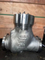 API Marinir 900lb Tekanan Tinggi Stainless Steel Steel Swing Flanged Globe Check Valve Dijual