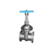 Gerbang Stainless Steel Globe Check Valve