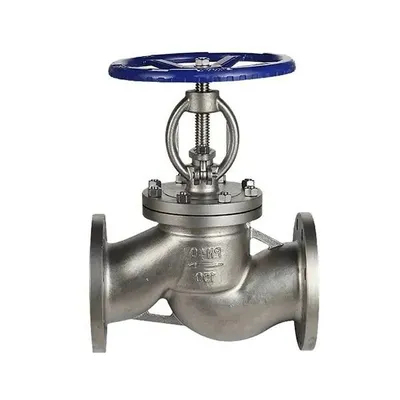 Pabrikan katup periksa laut SS321 Flanged Check Valve Dijual