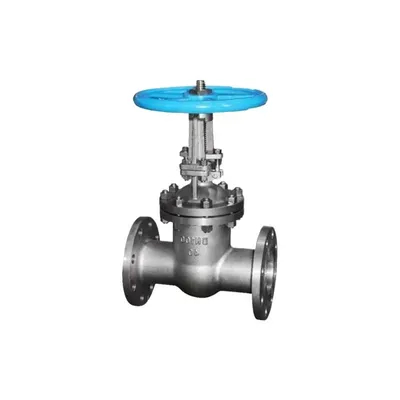 Hot Sale Produksi Kualitas Stainless Steel Steel Globe Check Valve