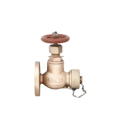 Laut Periksa Laut Lift JIS F7333/7334 Besi Cor Bronze Flanged 5K 10K Globe Angle Valves