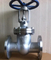 Katup laut dilemparkan katup globe stainless steel forged
