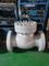 API 900lb Tekanan Tinggi Stainless Steel Swing Swing Check Valve Dijual