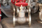 Grosir perunggu baja cor marinir katup flanged check valve globe untuk dijual