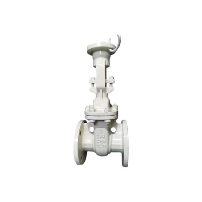 Gerbang Gerbang Stainless Stainless Stainless Glange Valve Periksa untuk Dijual