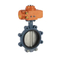 Kursi Kursi Karet Baja Stainless Cast-Iron Tipe Lug Katup Kupu-kupu Double Flange