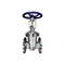 Katup Periksa Laut Globe Valve Stainless Flanged Steel Gerbang Globe Valve
