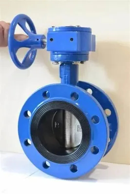 OEM penjualan bagus katup kupu -kupu tipe wafer laut besi cor