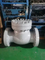 API 900lb Tekanan Tinggi Stainless Steel Swing Check Valve