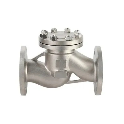 Katup periksa periksa murah SS321 Check Valve