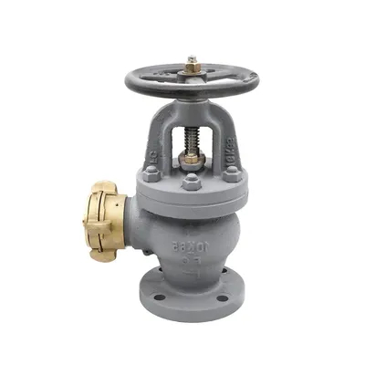 Gerbang Periksa Laut Gerbang Ayun Lift JIS F7333/7334 Besi Cast Flanged 5K 10K Selang Globe Angle Valves