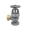 Gerbang Periksa Laut Gerbang Ayun Lift JIS F7333/7334 Besi Cast Flanged 5K 10K Selang Globe Angle Valves