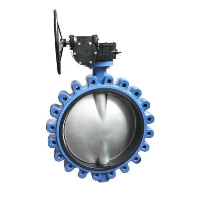 Oem cast-iron stainless steel kursi air lug tipe katup kupu-kupu flensa ganda