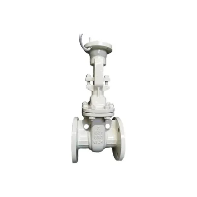 Katup Periksa Gerbang Gerbang Gerbang Baja Stainless Marine