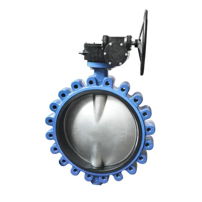 Grosir cast-iron stainless steel kursi air tipe katup kupu-kupu flensa ganda