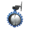 Grosir cast-iron stainless steel kursi air tipe katup kupu-kupu flensa ganda
