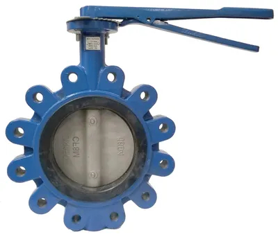 Cast Iron Marine Wafer Tipe Butterfly Valve Dijual