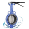 Grosir Marine Ansi API PTFE Tuas Besi Opreated Wafer Lug Butterfly Valve