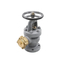 Gerbang Periksa Laut Flensa Casting Besi Cor Bronze 5K 10K Globe Angle Valves