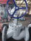 Grosir Pabrik Pasokan Langsung ANSI Stainless Steel Steel Carbon Flange Globe Valve