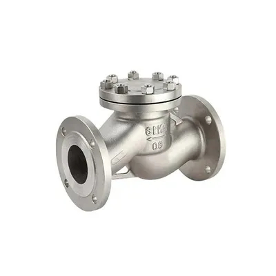 Grosir Rusia Lift Check Valve SS321Check Valve