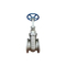 Gerbang Stainless Steel Globe Check Valve Dijual
