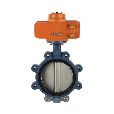 Factory Direct Sale Cast-Iron Stainless Steel Rubber Seat Water Type Tipe Katup Kupu-kupu Flange Ganda