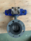Desain Grosir JIS 5K Hidrolik Flanged Brass Stainless Steel Floating Marine Ball Valve