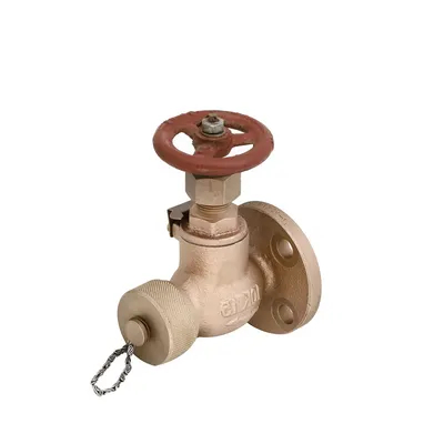 Gerbang Gerbang Periksa Kelautan Kualitas Terbaik Lift JIS F7333/7334 CASTING BRONZE CAST BESI 5K 10K Globe Angle Valves