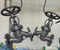 Manual yang dioperasikan baja wcb stainless steel seal valve globe
