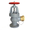 Gerbang Periksa Laut Ayunan Lift JIS F7333/7334 CASTING CASTING BESI CAST BRONZE 5K 10K HOSE Globe Angle Valves